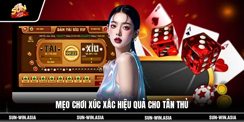 Mẹo chơi xúc xắc hiệu quả cho tân thủ